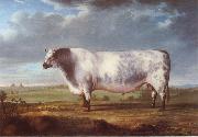 Thomas Alder, A Prize Bull